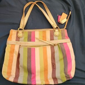 Coach Multicolor Striped Women's Bag